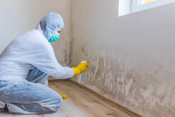 Licensed Mold Remediation service in Coatesville, PA - WQB Mold Removal