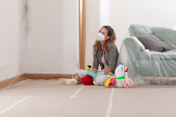 Reliable Mold Remediation contractor in Coatesville, PA by WQB Mold Removal
